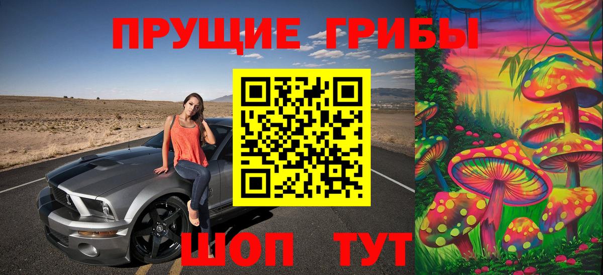 Псилоцибиновые грибы GOLDEN TEACHER  магазин    Псилоцибиновые грибы Magic Shrooms  Ноябрьск 