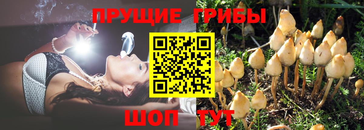 Галлюциногенные грибы Magic Shrooms Ноябрьск