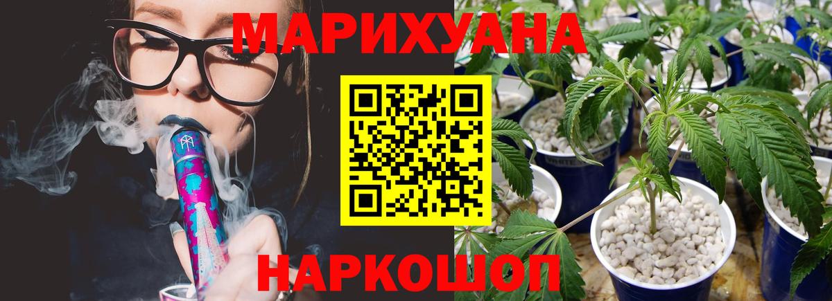 Каннабис марихуана Ноябрьск